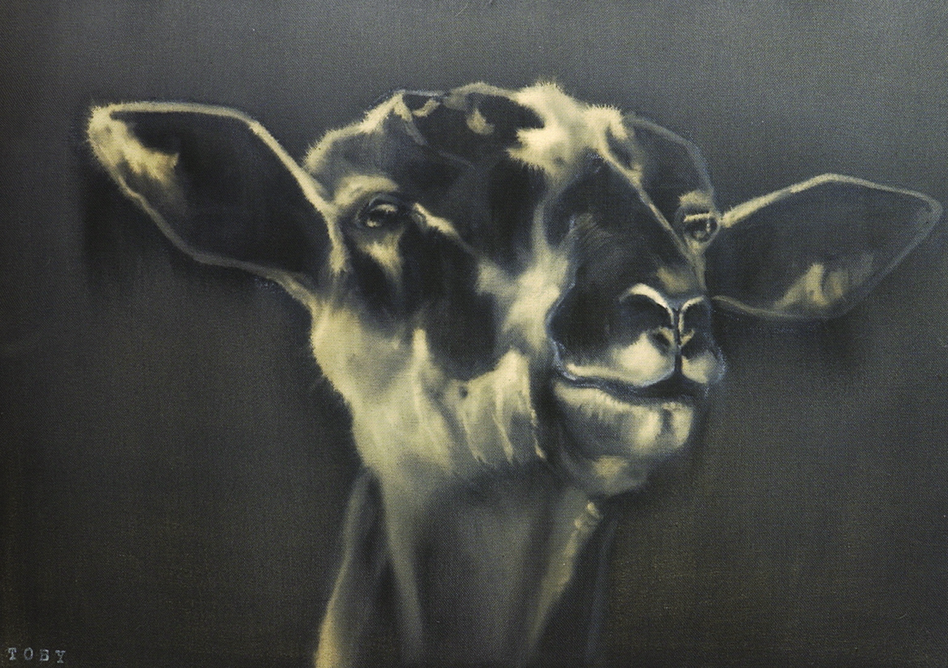  toby,60x40 cm,ink-acrylic 