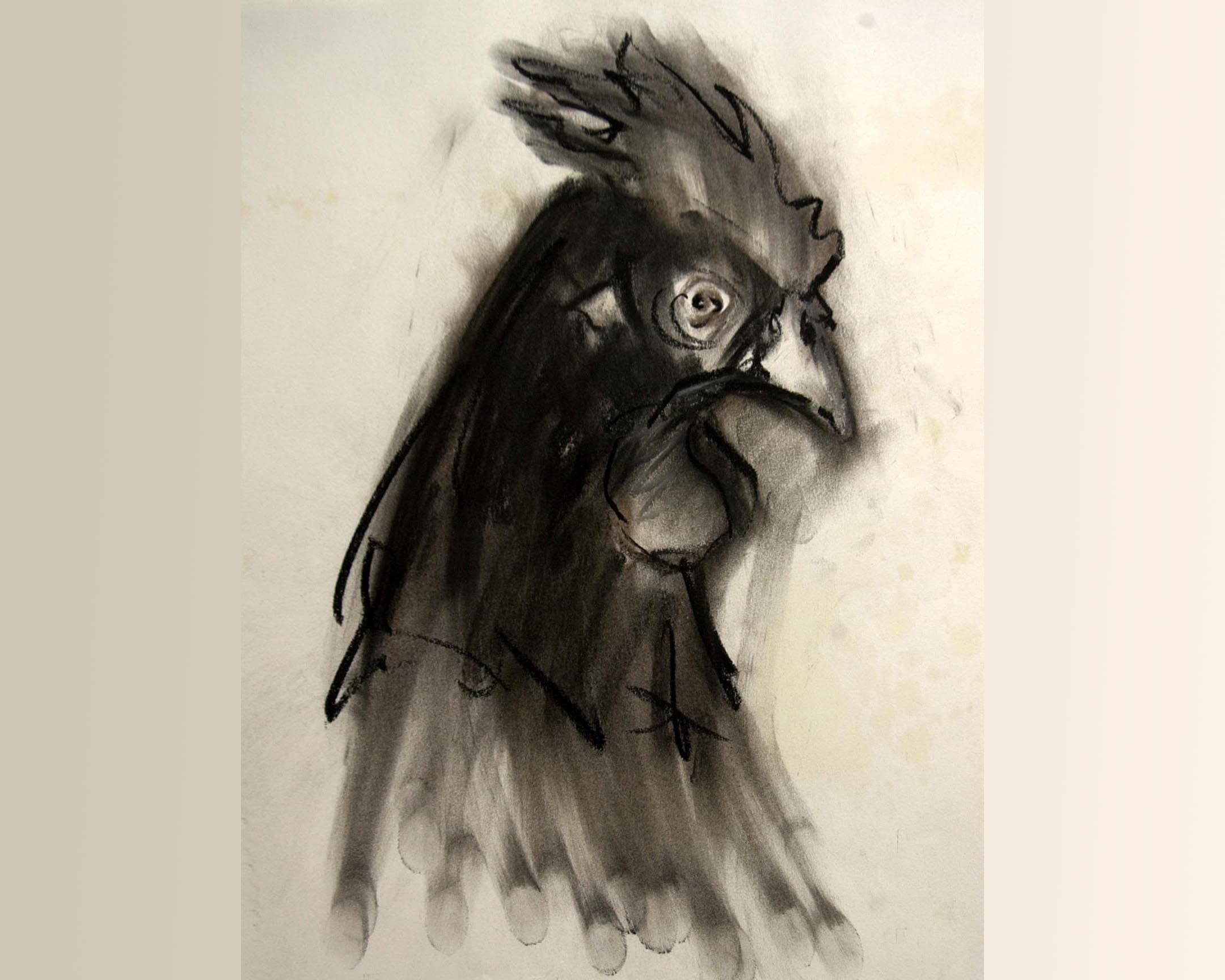  coq 6 