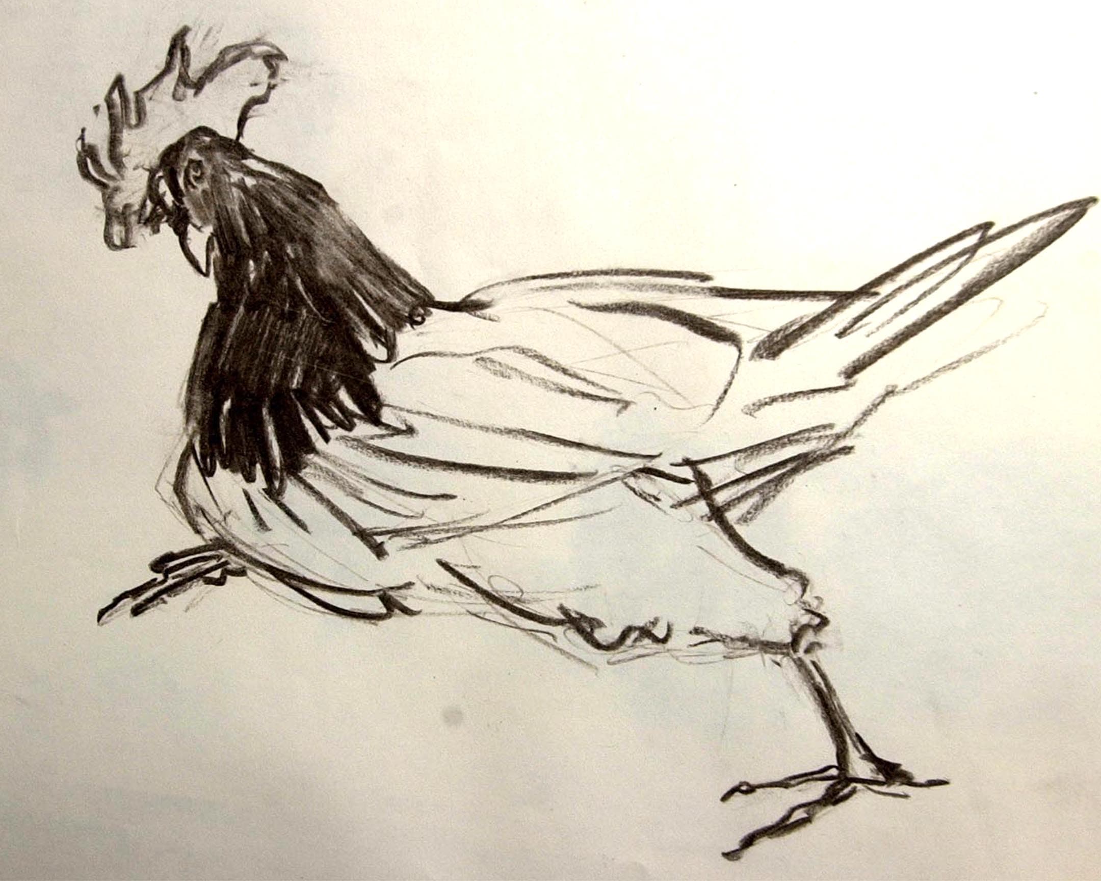 coq 5 