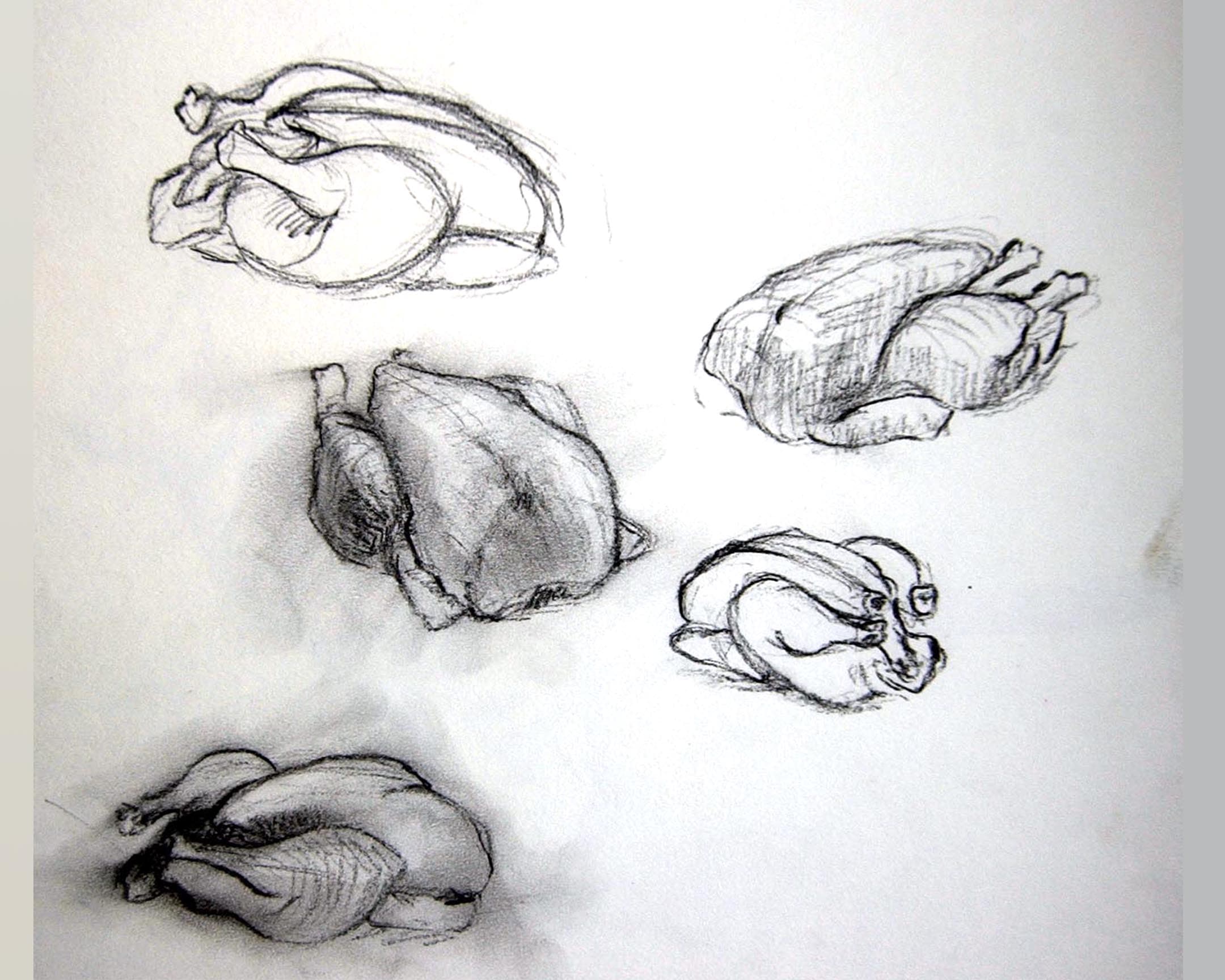  esquisses de poulets 