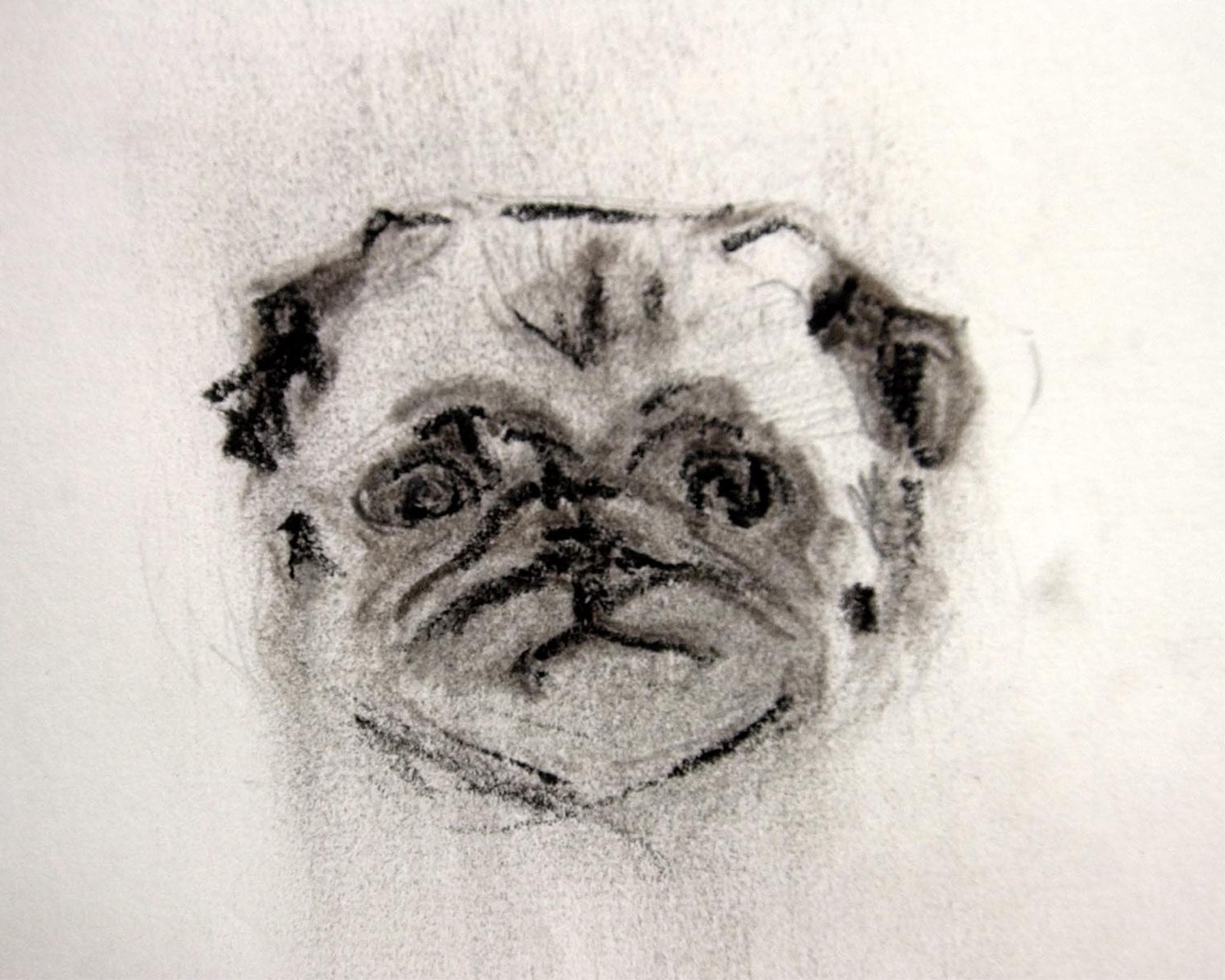  mops 2. 