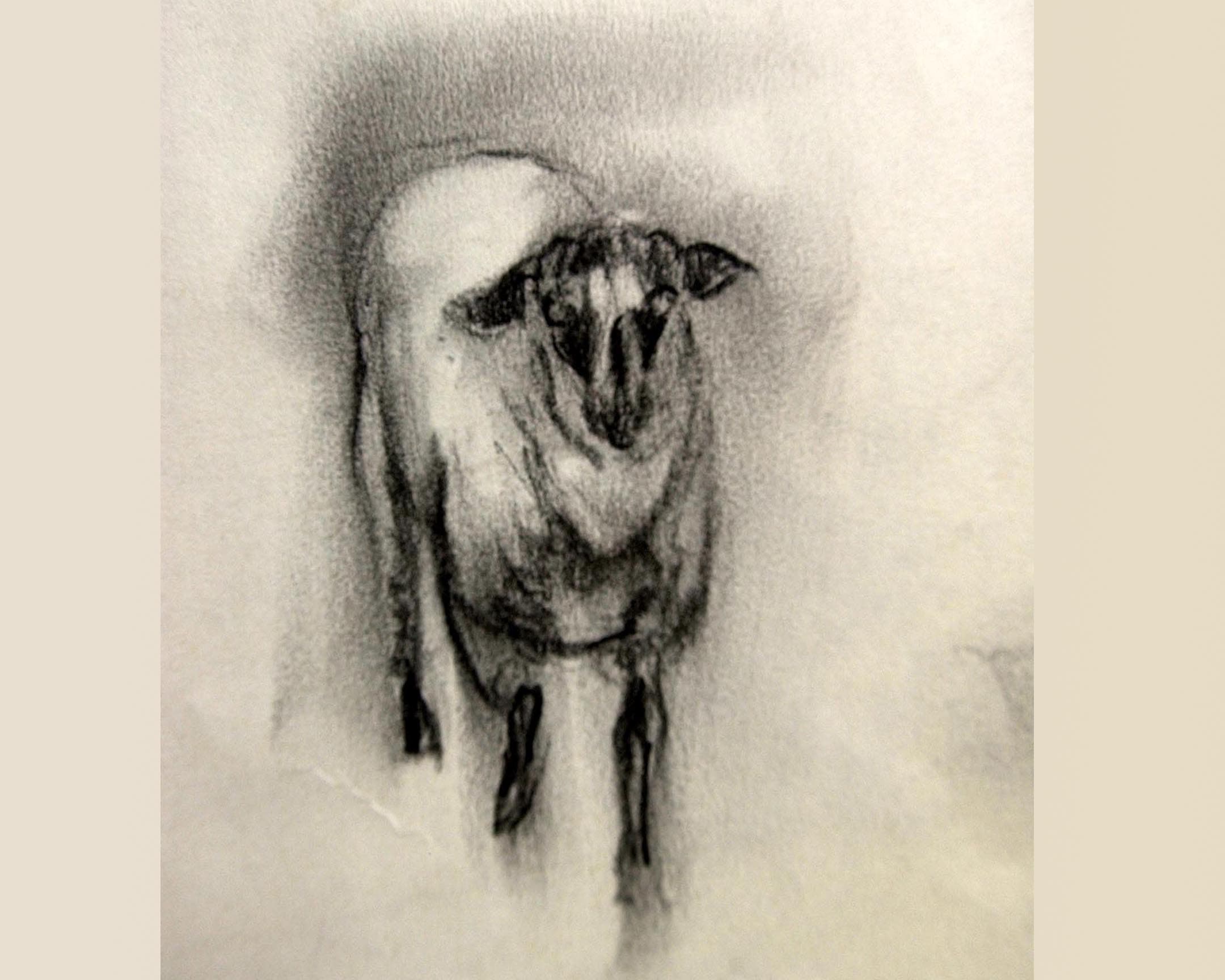  mouton 2 