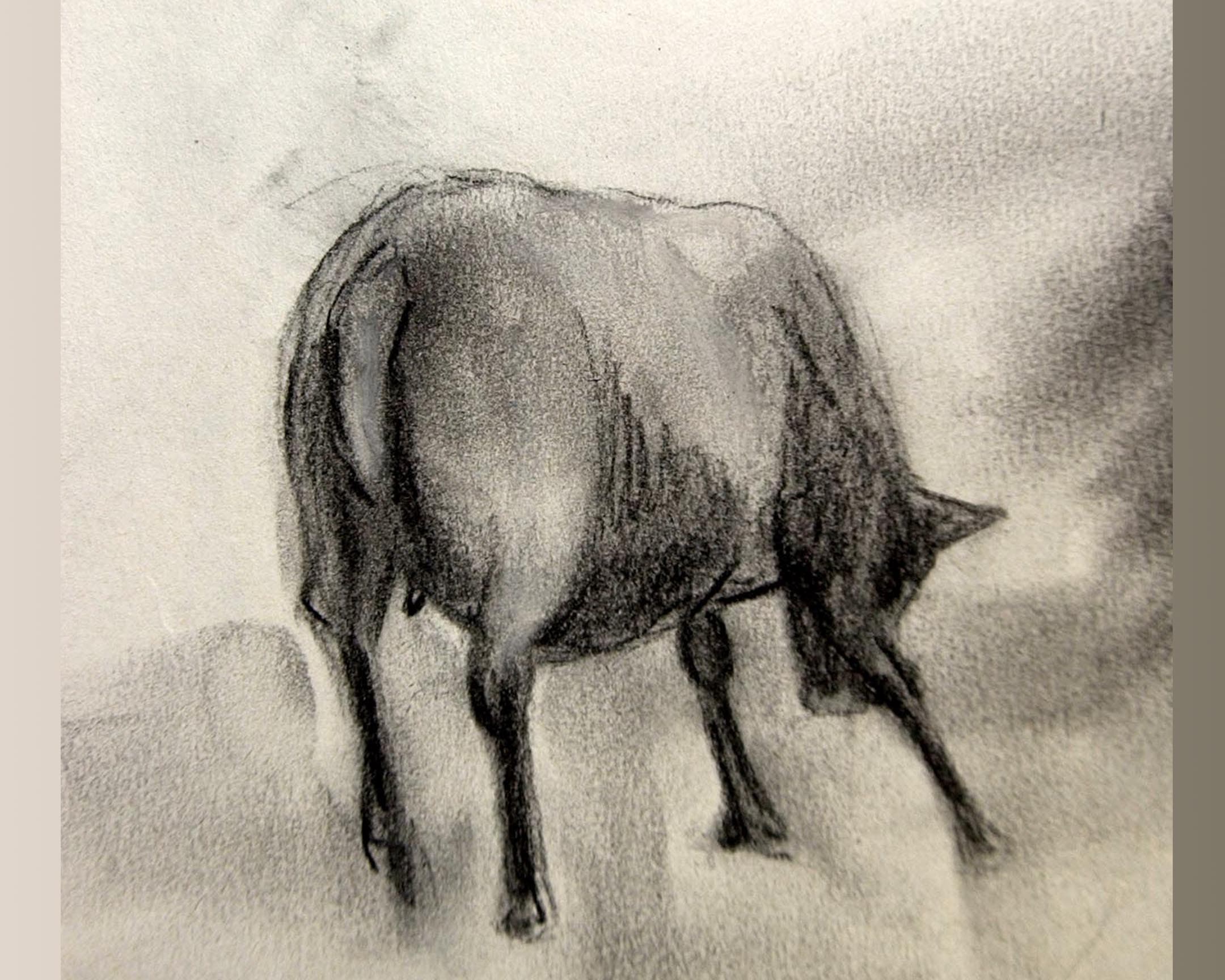  mouton 4 