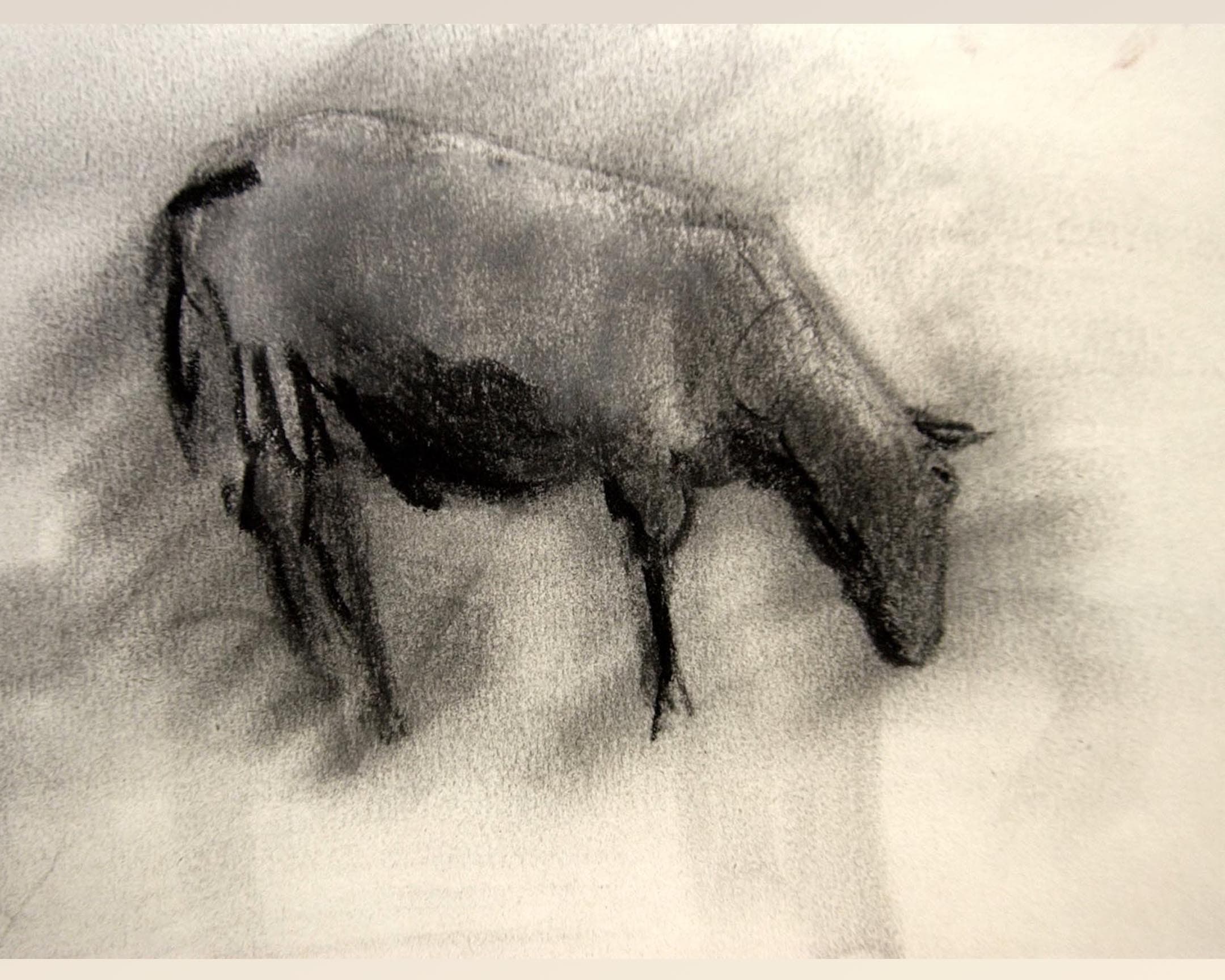  mouton 5 