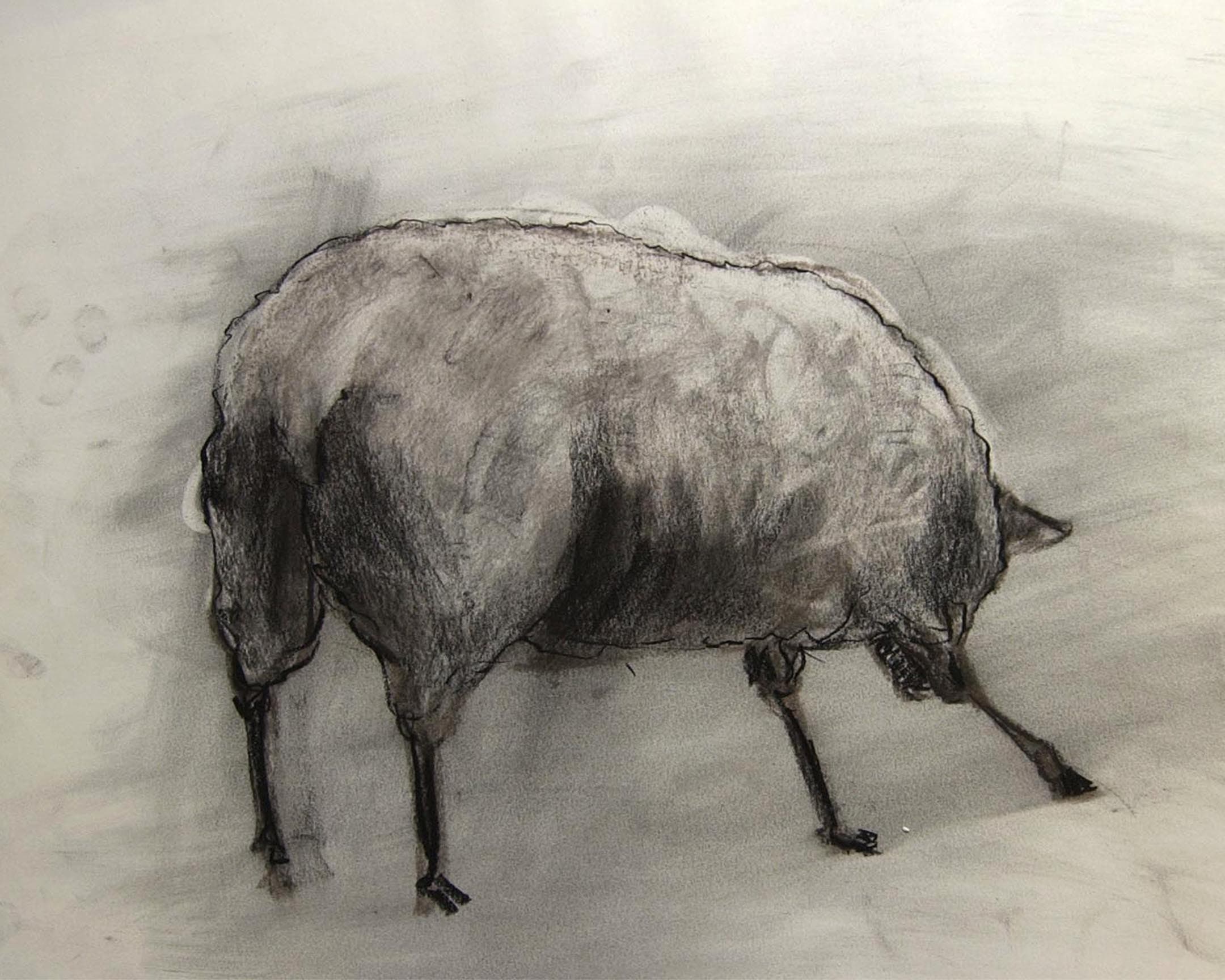  mouton 6 
