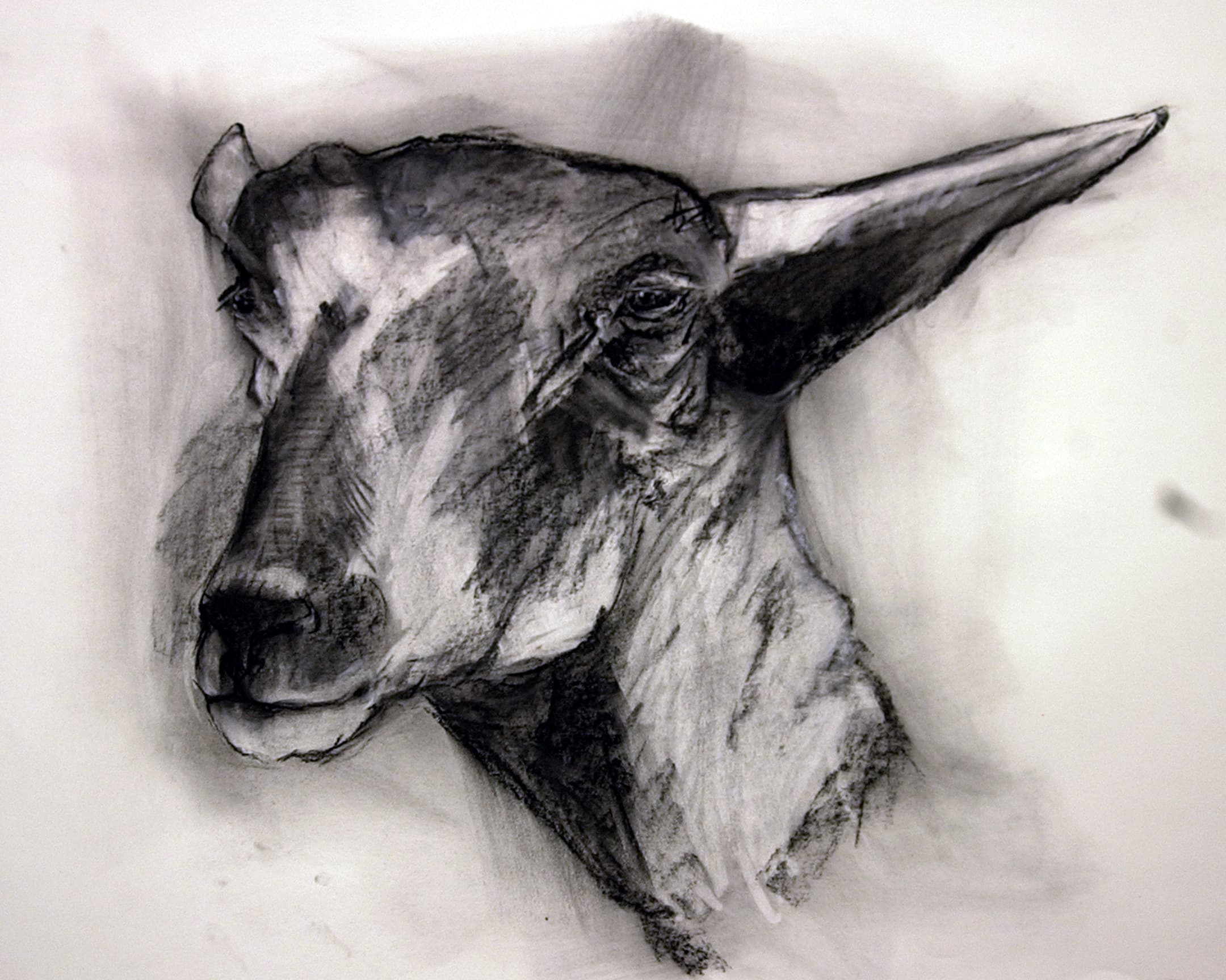  mouton 25 b 