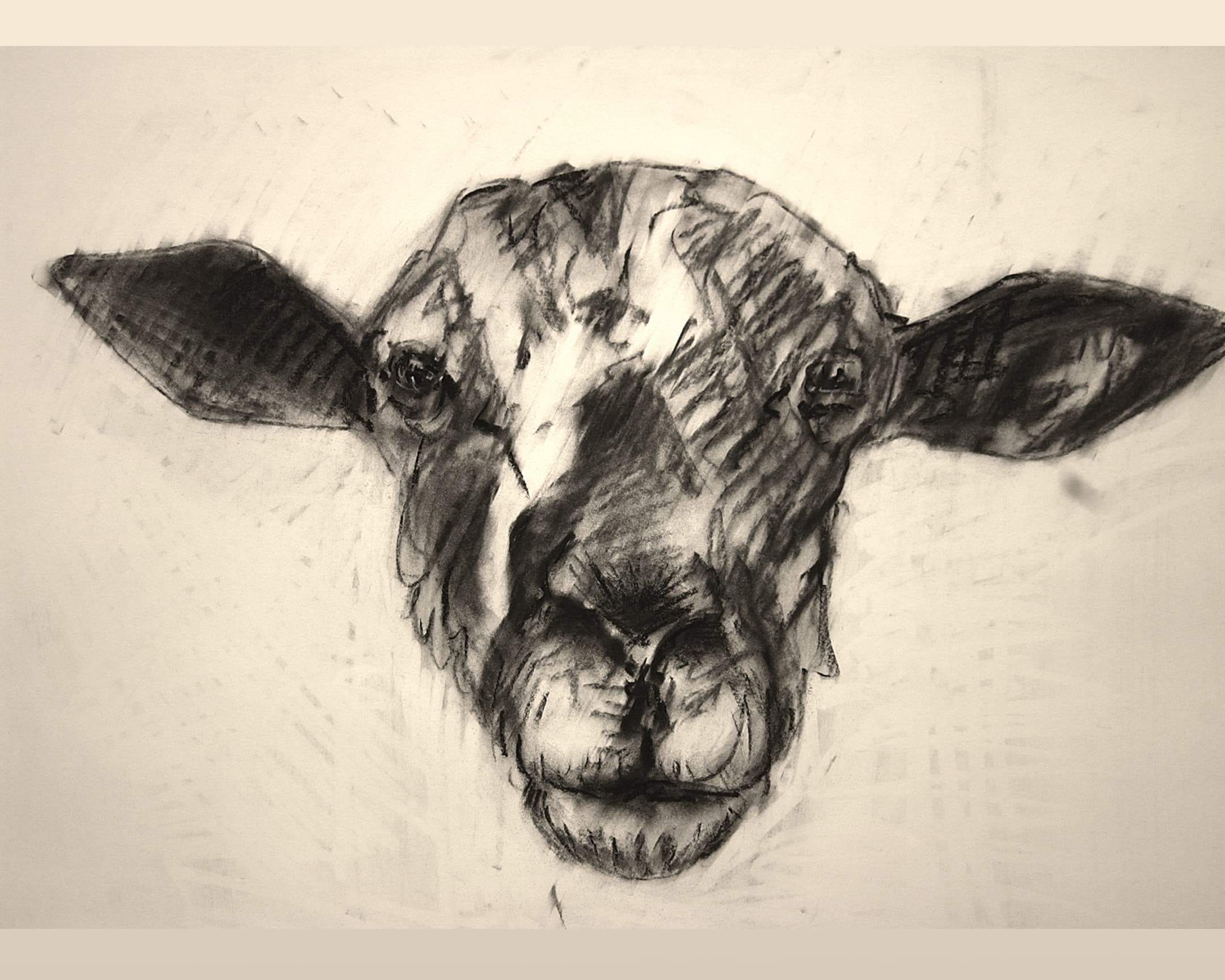  mouton 30 