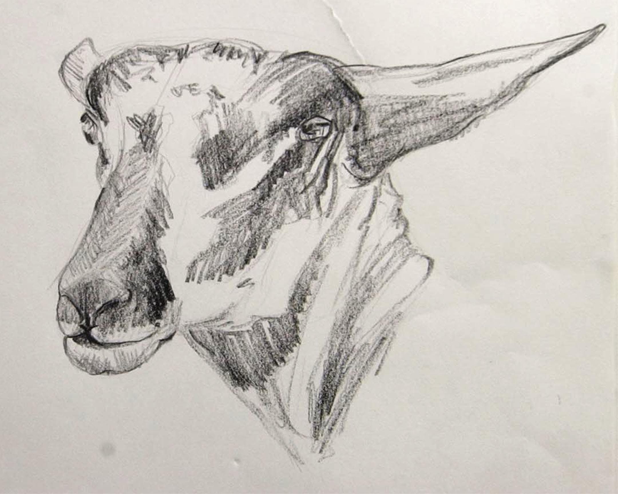  moutons 14 