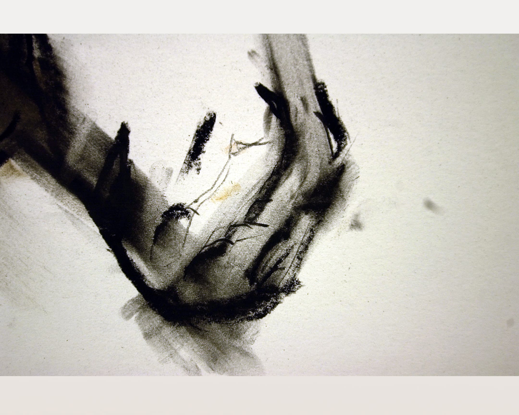  patte 2 