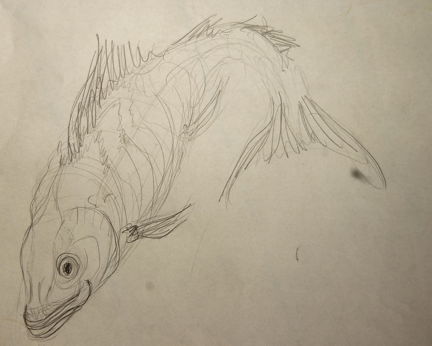  poisson 1  
