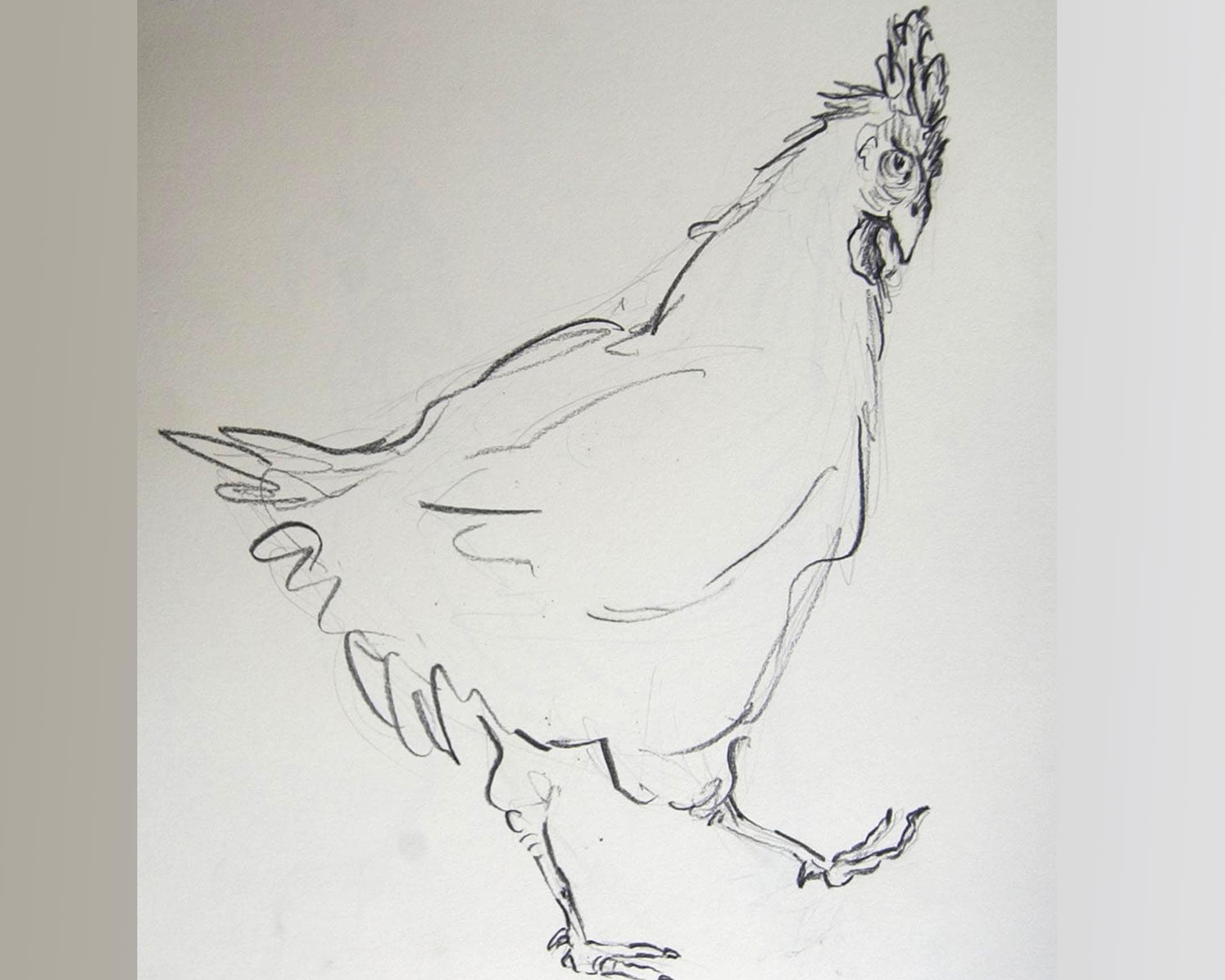  poule 6 