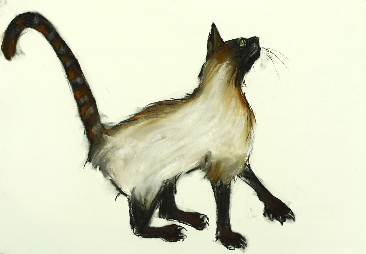  chat 1 